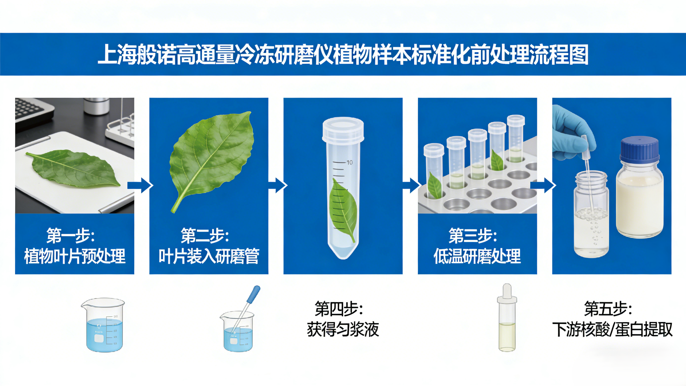 生成植物样本流程图.png