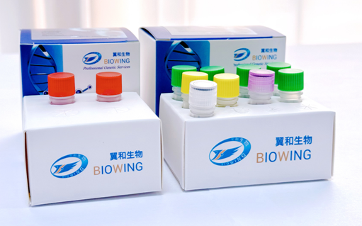 图片1111111.png 图片1111111.png