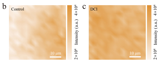 高QFLS與鐵電效應(yīng) 實(shí)現(xiàn)TOPCon疊層電池31.1% PCE