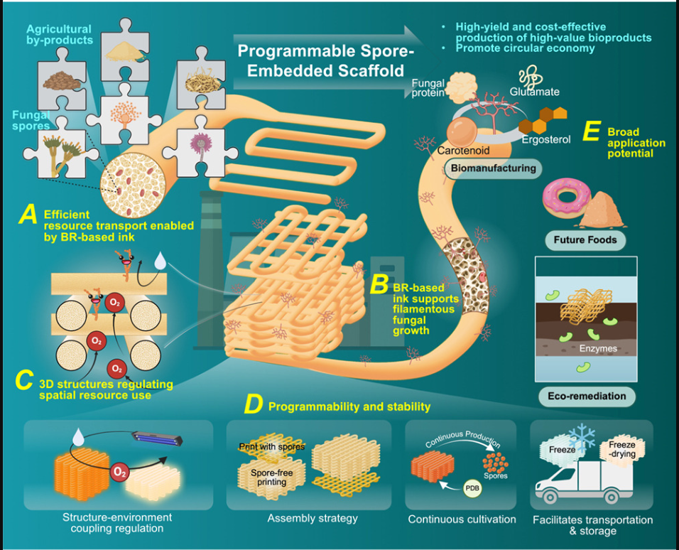 image.png 上海騰拔質(zhì)構(gòu)儀助力浙江大學(xué)在Cell子刊發(fā)表論文