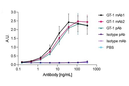 英國Absolute Antibody代理商 2026年AbsoluteAntibody授權代理-上海起發(fā)