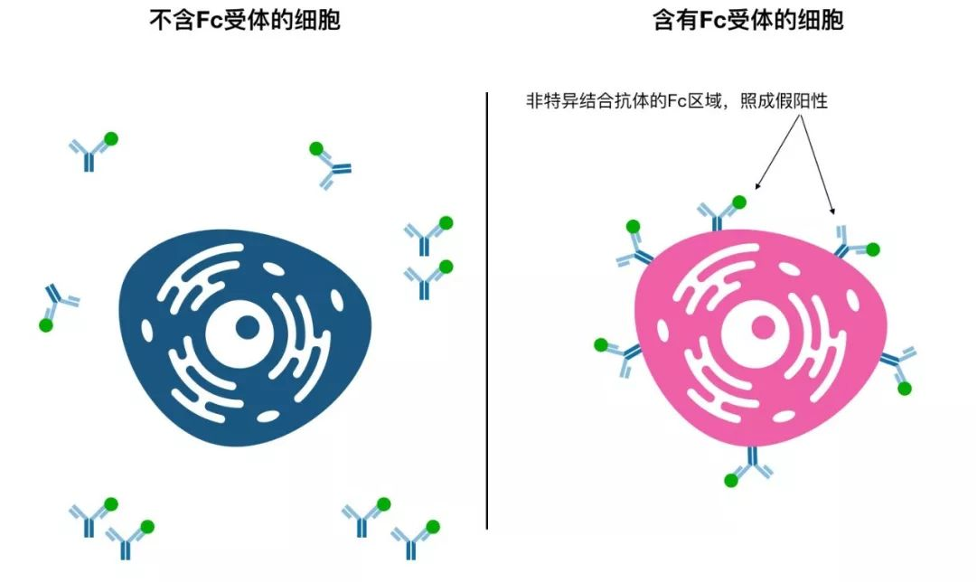 4cc28dd9c24accac17320a10cad07095.png