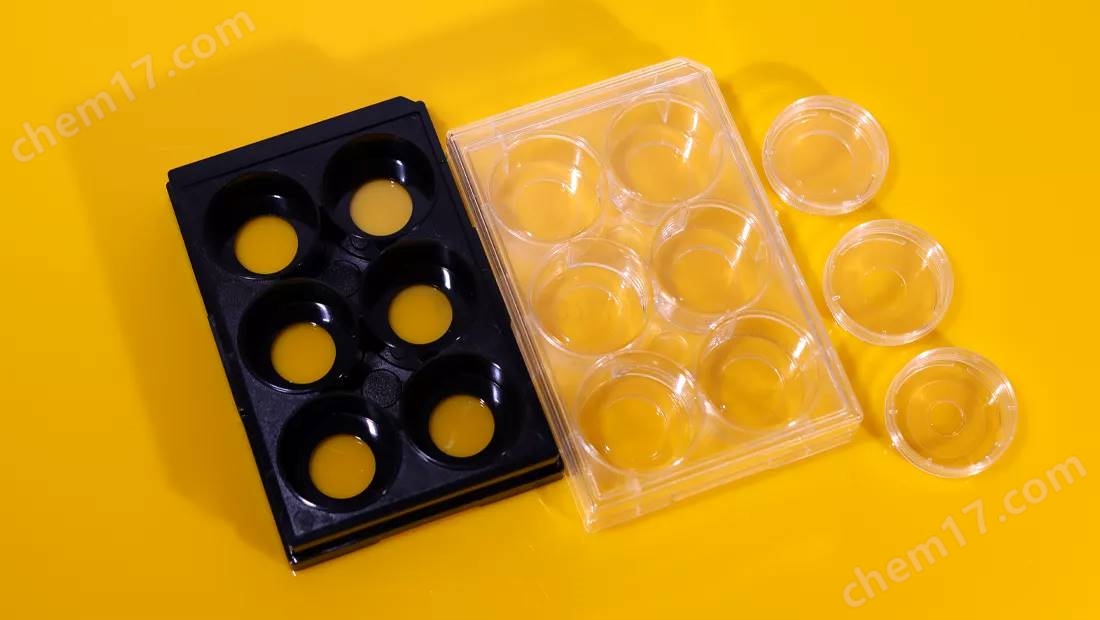 共聚焦培養(yǎng)板&皿1.jpg 35mm共聚焦培養(yǎng)皿(玻底直徑:20mm)