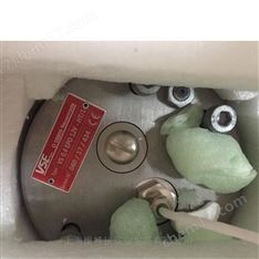 德國VSE特殊規格齒輪流量計