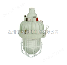 BAD81防爆緊湊型節(jié)能燈、BAD81、BAD81、BAD81、BAD81、BAD81、BAD81、