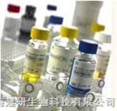 Aminopeptidase A/ENPEPCD249Լ
