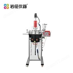巖征儀器2000M 視窗反應(yīng)釜