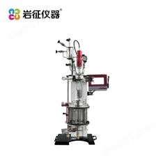 巖征儀器YZTR全透明反應(yīng)釜