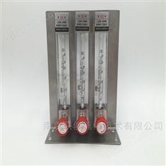 雙環玻璃轉子流量計