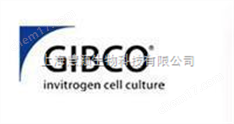 Invitrogen 二代新型羊水培養基|現貨11269016