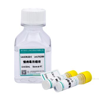 AC04L605EZ Trans一站式慢病毒包装试剂盒