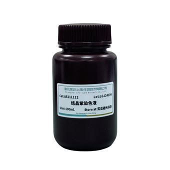 结晶紫染色液