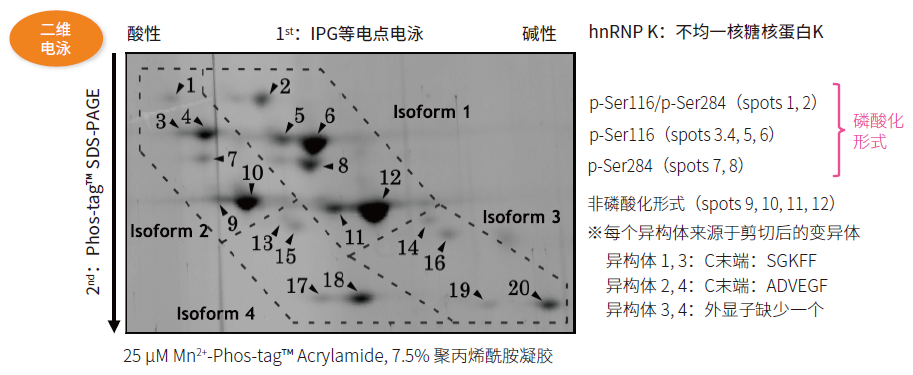 2916697067467957.png Phos-tag™ 系列產品