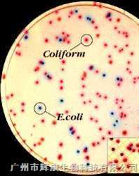 科玛嘉ECC显色培养基
