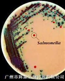 法国科玛嘉沙门氏菌显色培养基