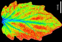 image.png Axiom 科研级光谱探测系统